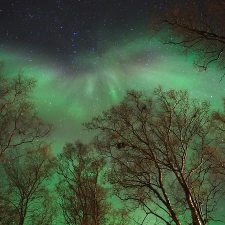 Solhov, Castle Of The Lyngen Alps Gæstehus Lyngseidet