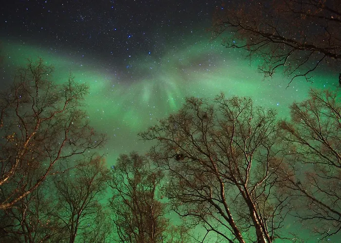 Solhov, Castle Of The Lyngen Alps بيت ضيافة Lyngseidet